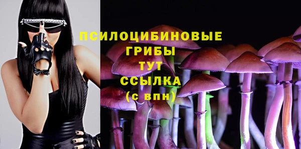 соль ск Дмитров