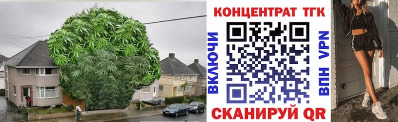 Дистиллят ТГК THC oil  Купить закладки  Лысьва 