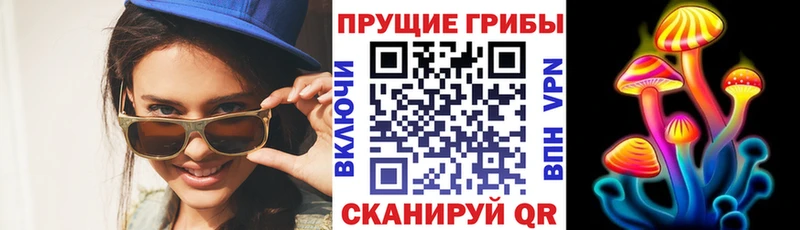 Купить  Лысьва  Псилоцибиновые грибы GOLDEN TEACHER 